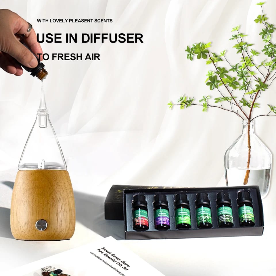 Essential Oils 6pcs set (Humidifier)