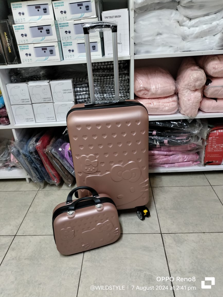 2 in 1 Travel suitcase