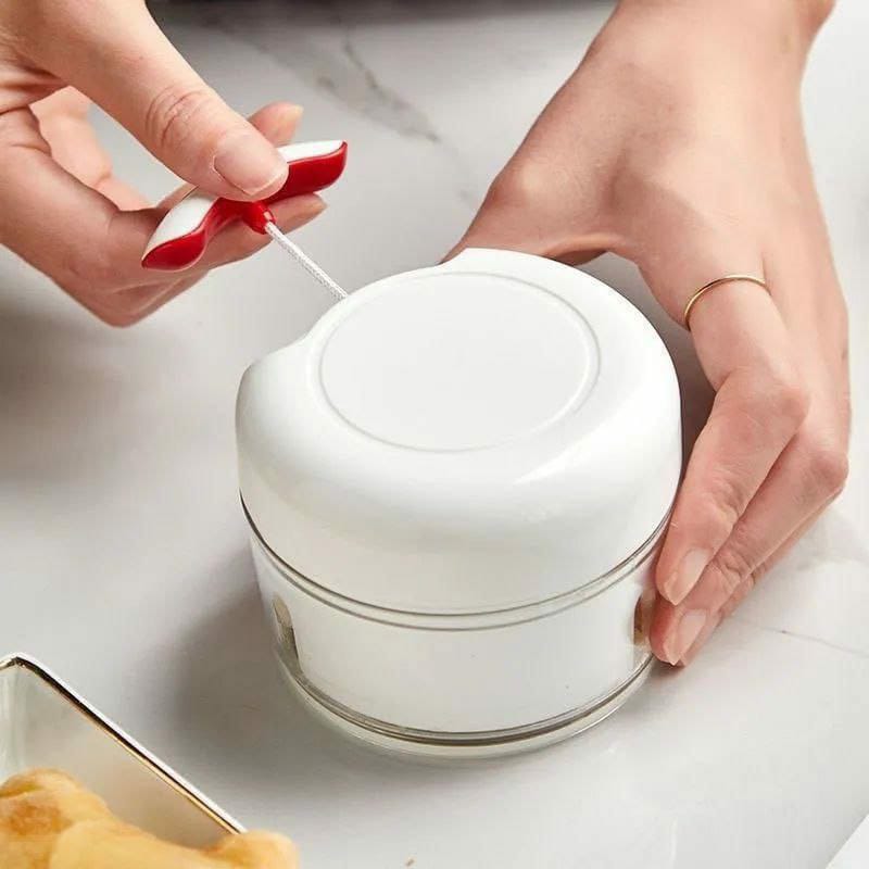 Mini Food Chopper